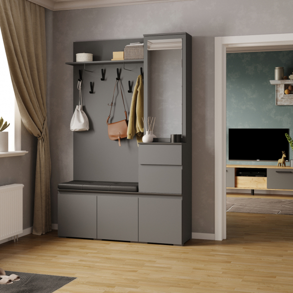 Прихожая Плейона, ТЭКС